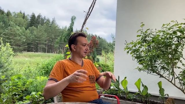 Какую роль сидераты и мульча играют в органическом земледелии