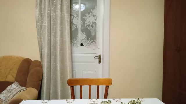 Реакция На Конфеты Ромашка Белая