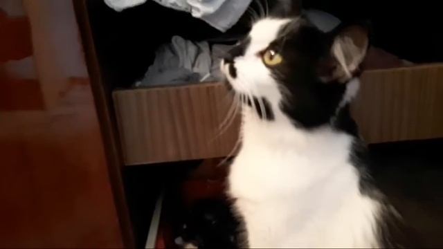 Аврора Родила Спасите Помогите! смотреть онлайн