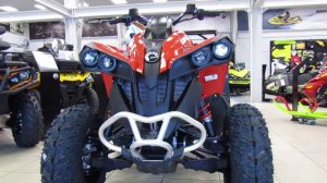 Обзор  квадроцикла BRP CAN-AM Renegade 570  2016 MY  Review ATV