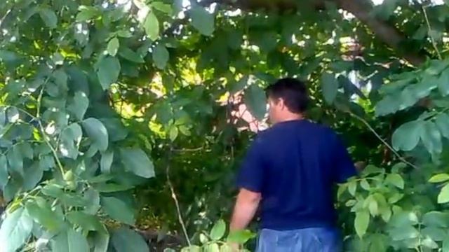 Причуды хозяйки ресторана У Петровича Трачук Л.П. - 3 смотреть онлайн