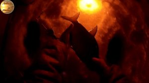 Поклёвка ЛЕЩА ночью. Фрагмент видео "О природе и рыбалке"