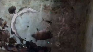 Рыбалка на Фукуоке