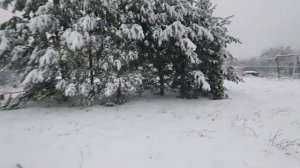Участок 15 сот. (ИЖС); Тульская область, Щёкинский р-н, д. Большая Тросна