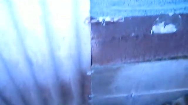 Чем лучше кормить нутрий летом? смотреть онлайн