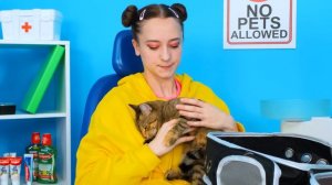 Как Спрятать Животных от Стоматолога с PaRaRa Challenge