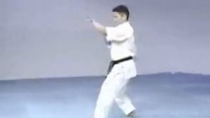 ката гарю высшая техника киокушин