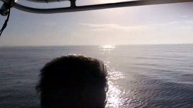 Grouper Fishing February Gulf of Mexico смотреть онлайн