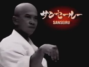 Рюэй рю каратэдо, разбор ката Сансэру