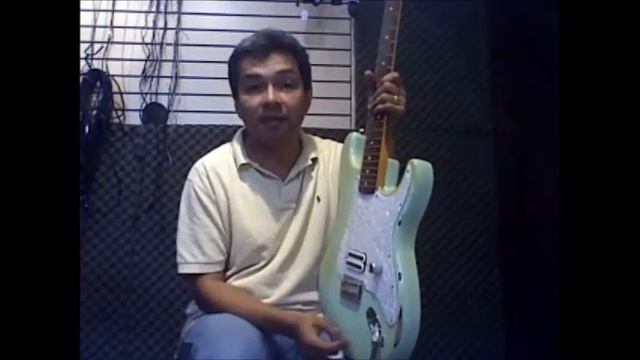 Demostración Guitarra Fender Stratocaster Tom DeLonge смотреть онлайн