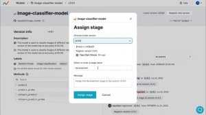 Assign a Stage in Iterative Studio Model Registry