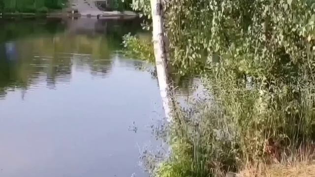 РАЗОБЛАЧЕНИЕ ПИРАТОВ. ПИРАТСКАЯ ЖИЗНЬ. ОБЗОР.