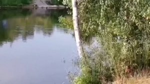 РАЗОБЛАЧЕНИЕ ПИРАТОВ. ПИРАТСКАЯ ЖИЗНЬ. ОБЗОР.