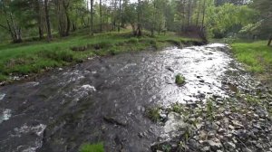 Летний поход на реку Зырянка