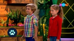 Лапы, морды и хвосты. Павлин (от 31.08.2023)