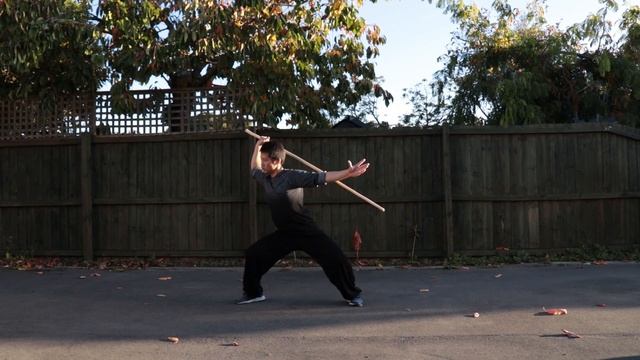 Shaolin Kung Fu wushu fundamental bo staff form for beginners tutorial смотреть онлайн