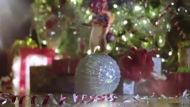 Новогоднее пожелание смотреть онлайн