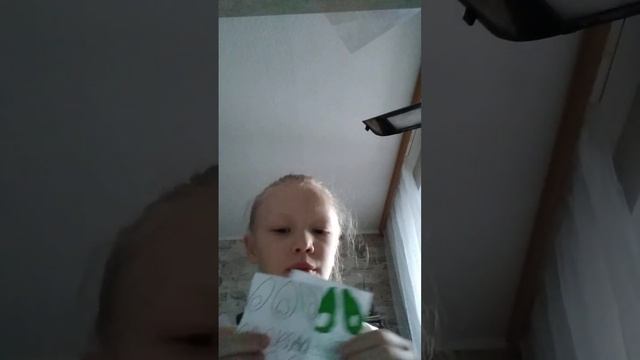 делаем набор авокадо 1часть смотреть онлайн