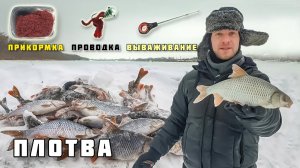 ЛОВЛЯ ПЛОТВЫ НА МОРМЫШКУ С МОТЫЛЁМ ПРИКОРМКА ПРОВОДКА ПОИСК как поймать зимняя рыбалка 2021.mp4