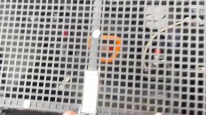 Обзор вездеходов ирбис-43