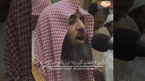 Сура Аль Фуркан. Мухаммад Люхайдан 🎙️#люхайдан #напоминание #коран #ислам #красивоечтениекорана