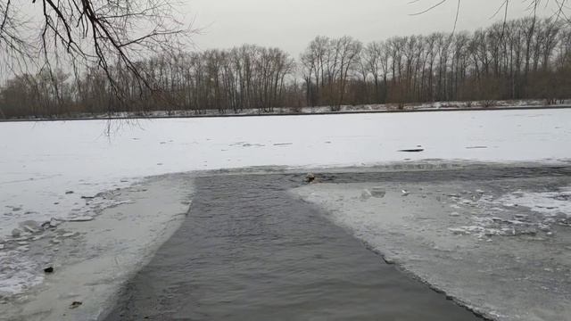 Михаил Садовников любит ледяную воду и прорубь моржей столицы.14.12.2020 смотреть онлайн