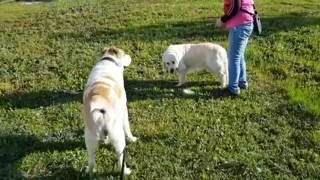 Паркер смотреть онлайн