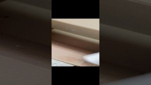 Колесо 24 дюйма с планетарной втулкой NEXUS SG-3C41 для переоборудования