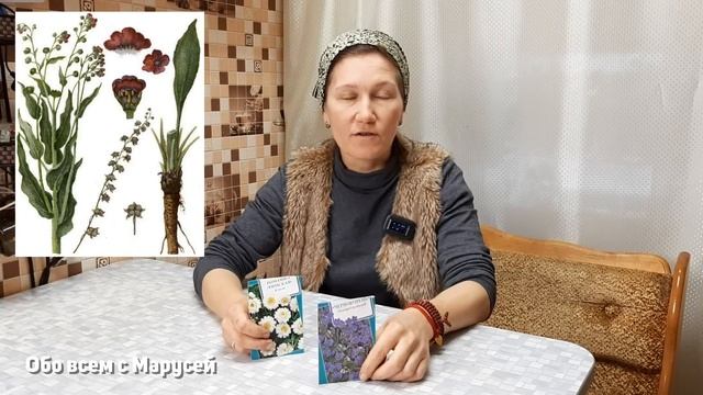 ЭТИ РАСТЕНИЯ ИЗБАВЯТ ОТ МЫШЕЙ ВАШ ДОМ И САД /НАТУРАЛЬНЫЙ ОТПУГИВАТЕЛЬ МЫШЕЙ @obovsemsmarusya