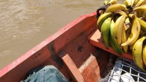 Амазонка. День 4 - А вот и гости! / Сибиряк на каноэ [Subtitle] @Got1Try