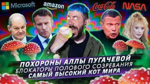 Похороны Аллы Пугачевой / Блокаторы полового созревания / Самый высокий кот мира