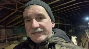 Зерно в животноводстве - купить или вырастить?