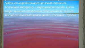 Малиновое озеро