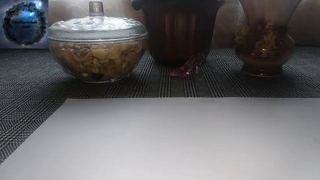 ***Как Узнать Кто Наводит Порчу И Вернуть ЕЁ Обратно ВРАГУ***