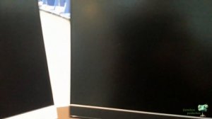 Обзор мониторов Acer SA240Y и Acer R241Y (Ультра тонкие рамки, FullHD, недорого)