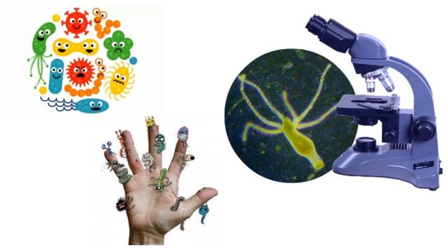 Комментируемое видео "Нужно ли мыть руки?" смотреть онлайн