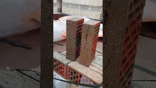 кирпич керамический, облицовочный производство Браер. Braer. Кора дерева с песком 1 нф 250*120*66 смотреть онлайн