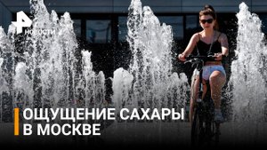 Жара в центральной части России может стать рекордной / РЕН Новости