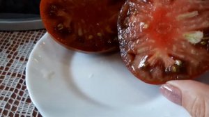 коллекционные томаты в разрезе