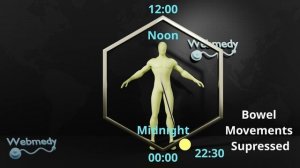 Что такое циркадный ритм и как он работает?