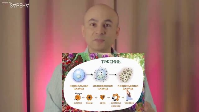 Сосание масла правильно очистить организм бесплатно и на всю жизнь смотреть онлайн