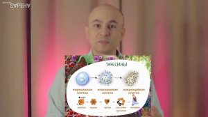 Сосание масла правильно очистить организм бесплатно и на всю жизнь