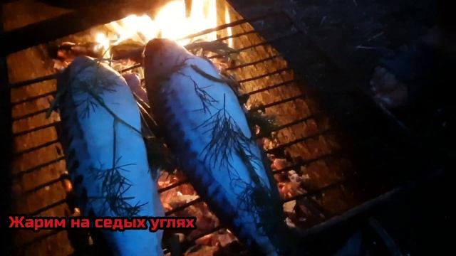 самый быстрый простой рецепт скумбрии на мангале / шашлык из скумбрии