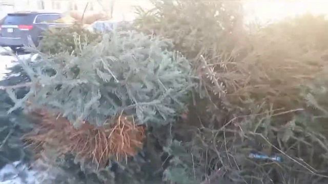 СБОР НОВОГОДНИХ КРАСАВИЦ !!! смотреть онлайн