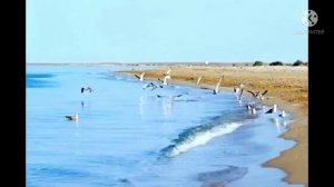 Туркменбаши🇹🇲❤️