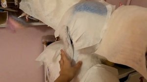 Моя первая фурри сходка