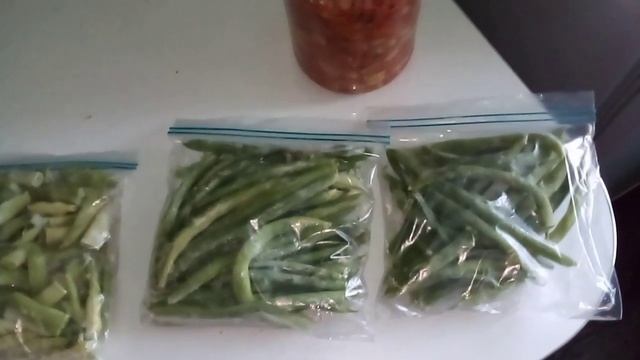 Отвечаю на вопрос о стручковой фасоли. . смотреть онлайн