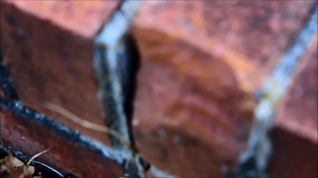 18-55mm canon 600D video смотреть онлайн