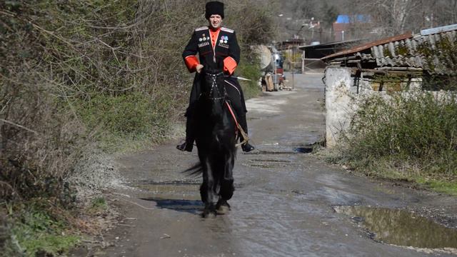 Черноморский казак на Черноморе! )))