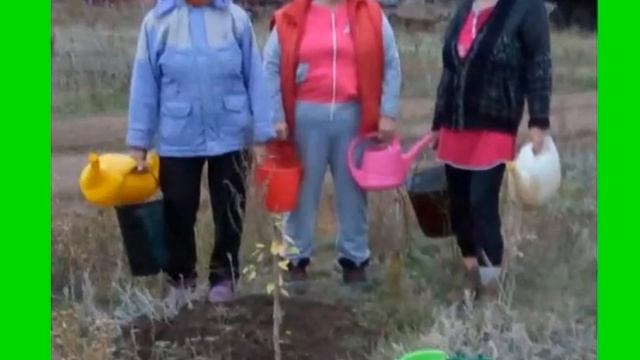 Экологическая акция Шляхова Жанна Владимировна